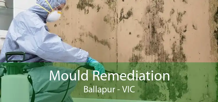 Mould Remediation Ballapur - VIC