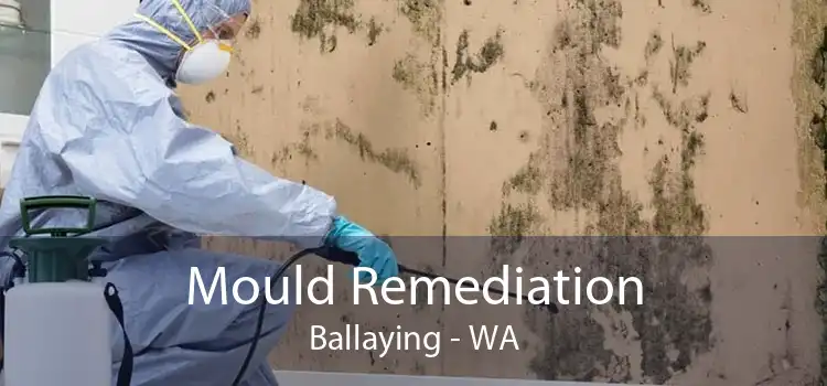 Mould Remediation Ballaying - WA