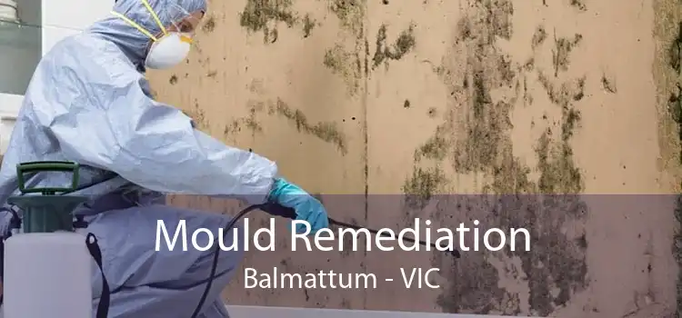 Mould Remediation Balmattum - VIC