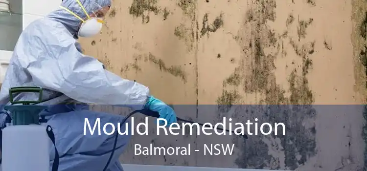Mould Remediation Balmoral - NSW