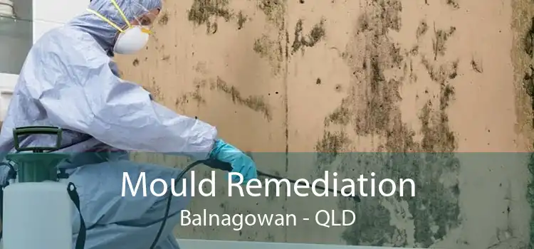 Mould Remediation Balnagowan - QLD