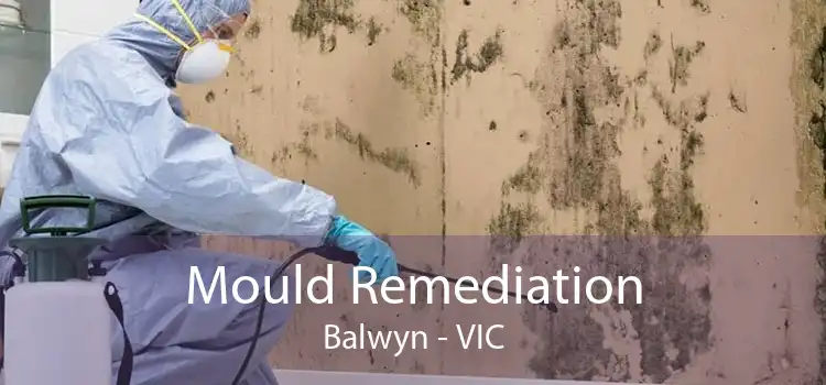 Mould Remediation Balwyn - VIC