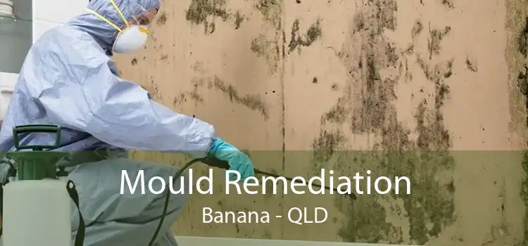 Mould Remediation Banana - QLD