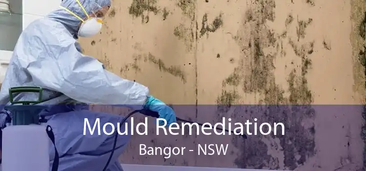 Mould Remediation Bangor - NSW