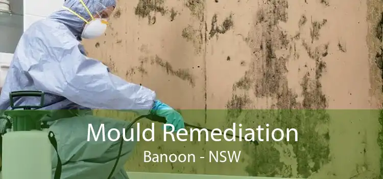 Mould Remediation Banoon - NSW