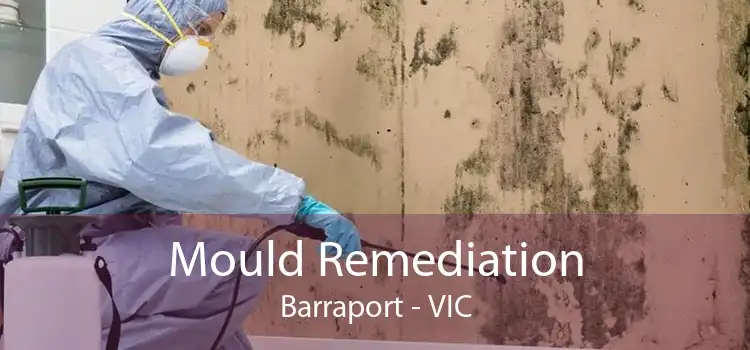 Mould Remediation Barraport - VIC