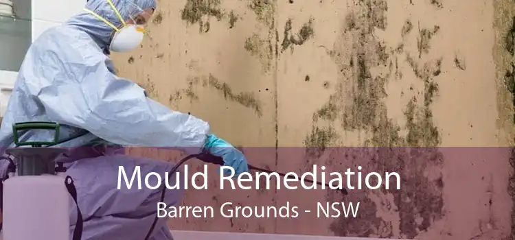 Mould Remediation Barren Grounds - NSW