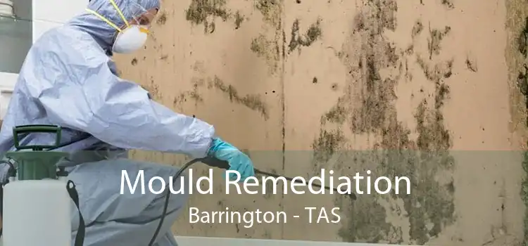 Mould Remediation Barrington - TAS