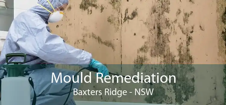 Mould Remediation Baxters Ridge - NSW