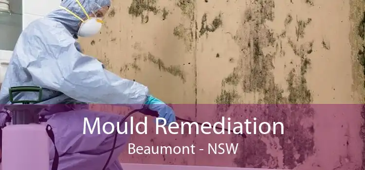Mould Remediation Beaumont - NSW