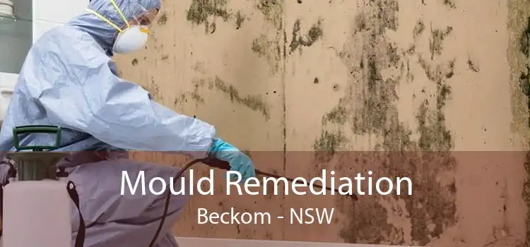 Mould Remediation Beckom - NSW