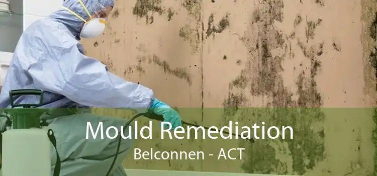 Mould Remediation Belconnen - ACT