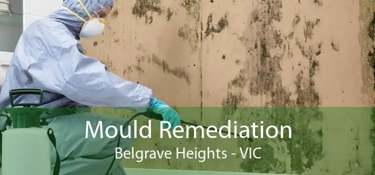 Mould Remediation Belgrave Heights - VIC