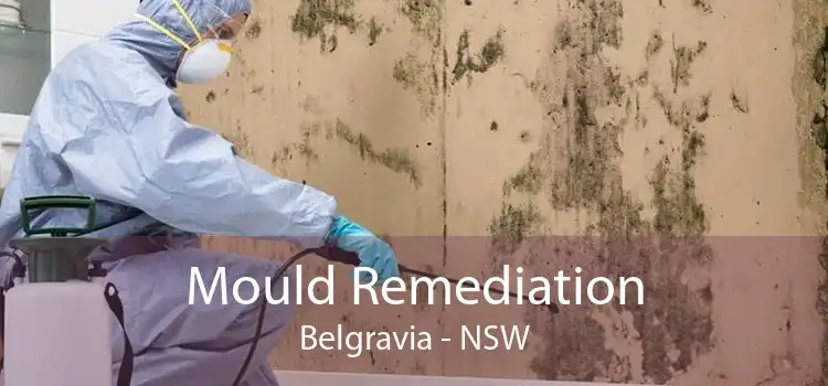 Mould Remediation Belgravia - NSW