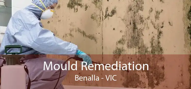 Mould Remediation Benalla - VIC