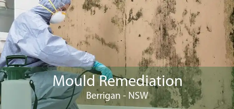 Mould Remediation Berrigan - NSW