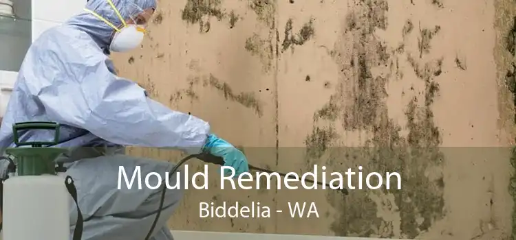Mould Remediation Biddelia - WA