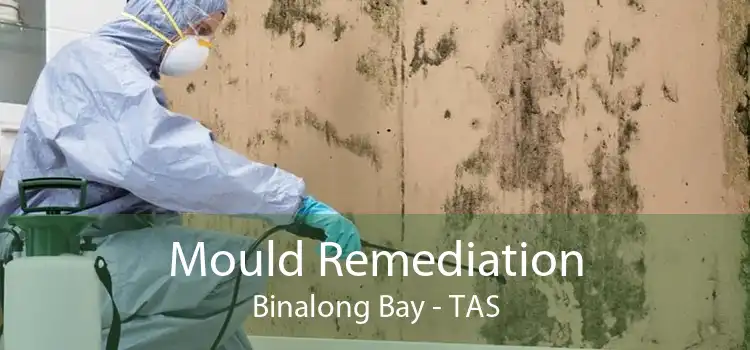 Mould Remediation Binalong Bay - TAS
