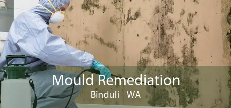 Mould Remediation Binduli - WA