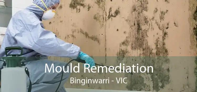 Mould Remediation Binginwarri - VIC