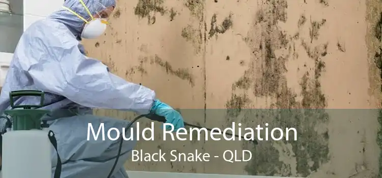 Mould Remediation Black Snake - QLD