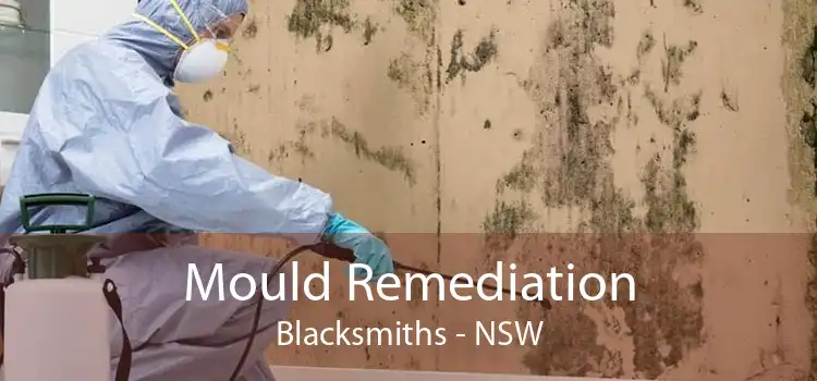 Mould Remediation Blacksmiths - NSW