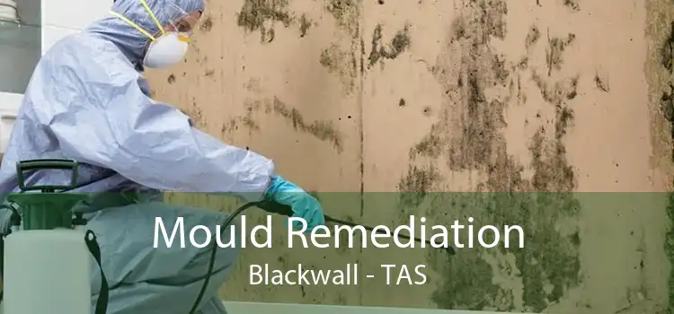 Mould Remediation Blackwall - TAS