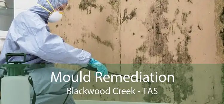 Mould Remediation Blackwood Creek - TAS