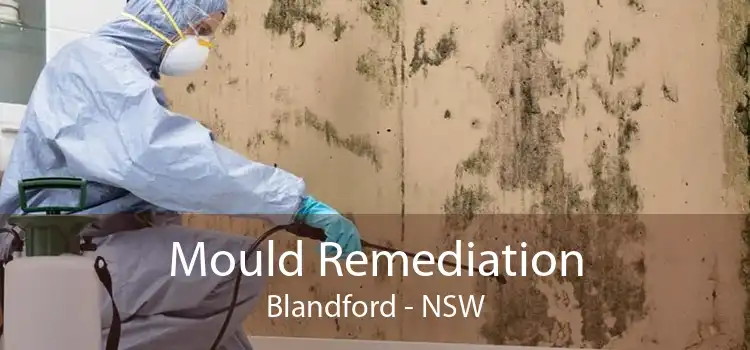 Mould Remediation Blandford - NSW