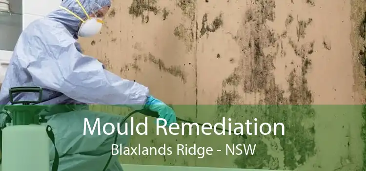 Mould Remediation Blaxlands Ridge - NSW