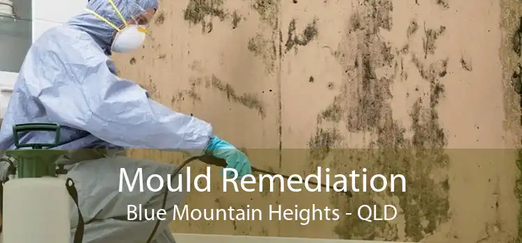 Mould Remediation Blue Mountain Heights - QLD