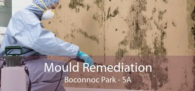 Mould Remediation Boconnoc Park - SA