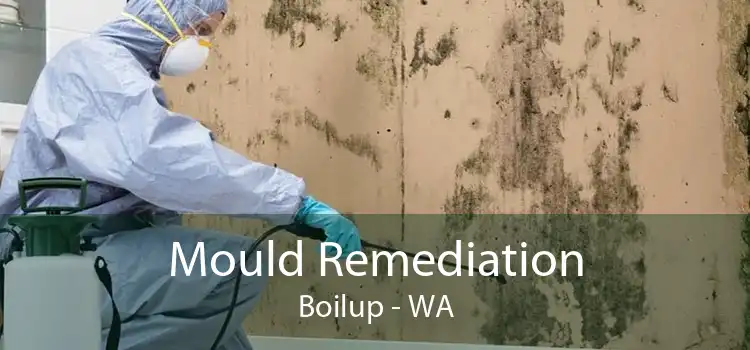 Mould Remediation Boilup - WA