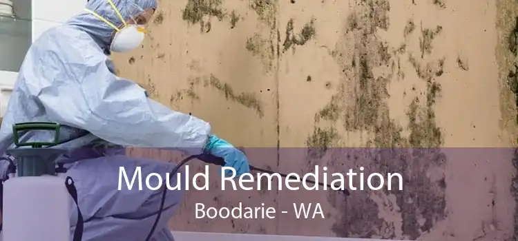 Mould Remediation Boodarie - WA