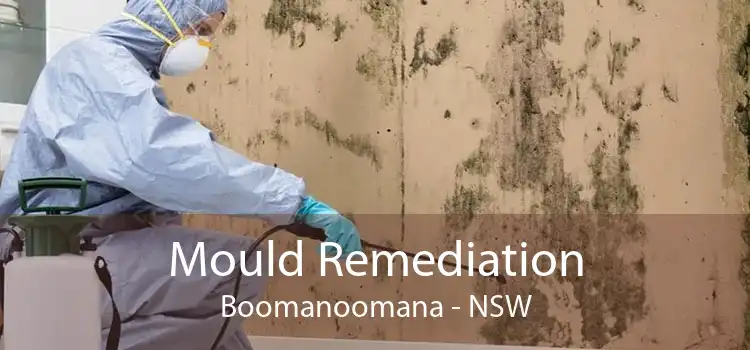 Mould Remediation Boomanoomana - NSW