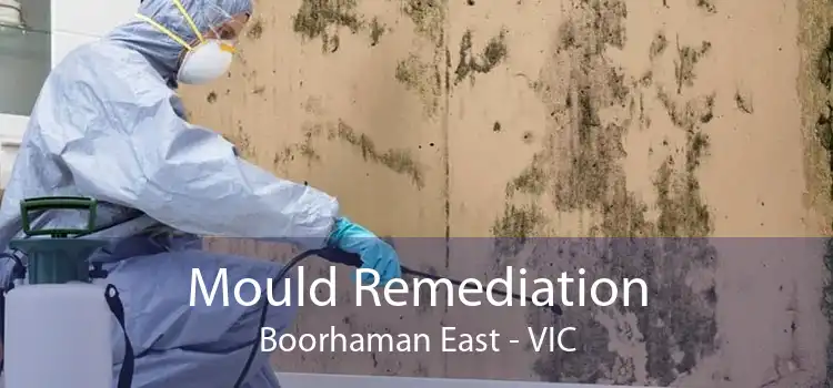 Mould Remediation Boorhaman East - VIC