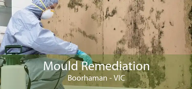 Mould Remediation Boorhaman - VIC