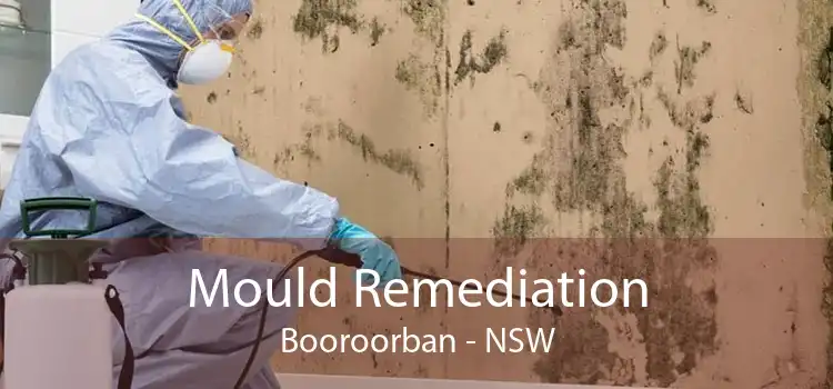 Mould Remediation Booroorban - NSW