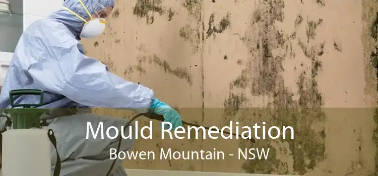 Mould Remediation Bowen Mountain - NSW