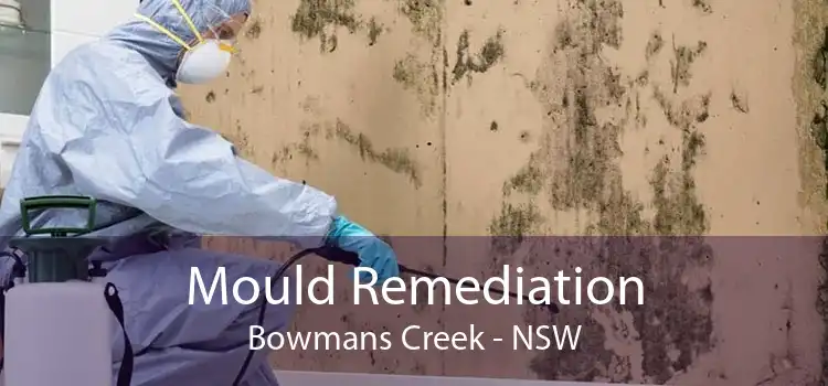 Mould Remediation Bowmans Creek - NSW