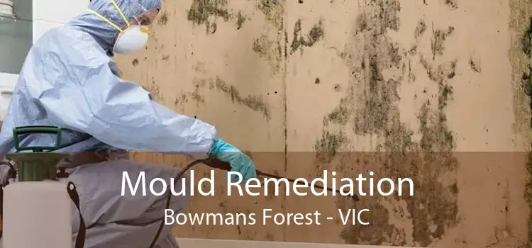 Mould Remediation Bowmans Forest - VIC