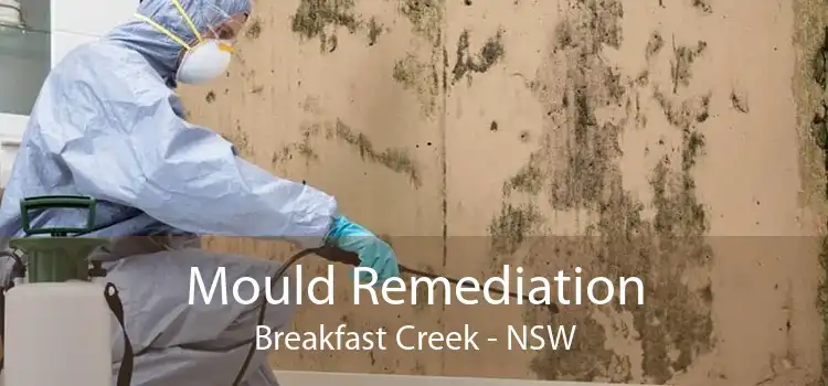 Mould Remediation Breakfast Creek - NSW