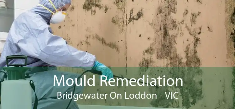 Mould Remediation Bridgewater On Loddon - VIC