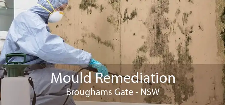 Mould Remediation Broughams Gate - NSW