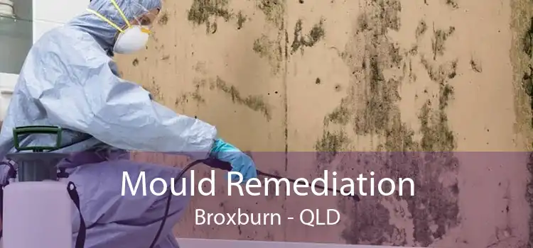 Mould Remediation Broxburn - QLD