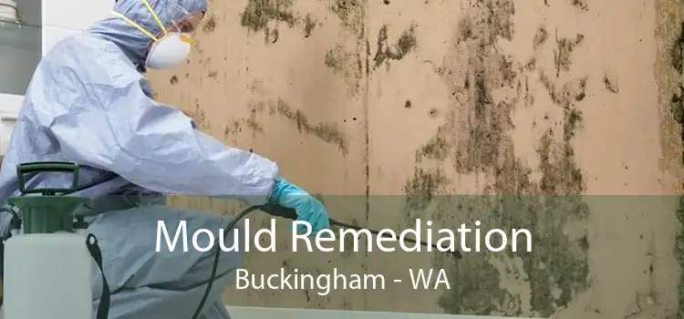 Mould Remediation Buckingham - WA