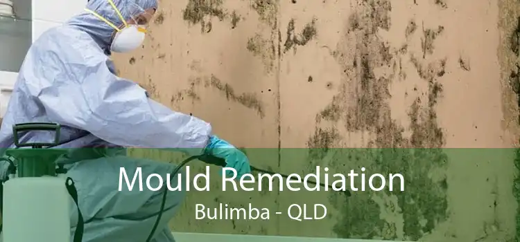 Mould Remediation Bulimba - QLD