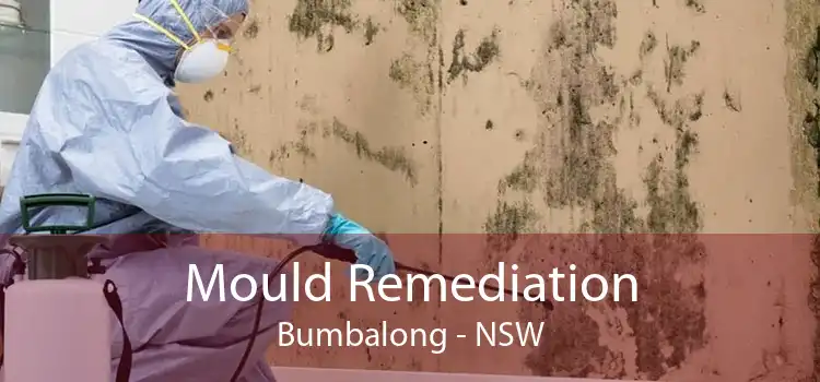 Mould Remediation Bumbalong - NSW
