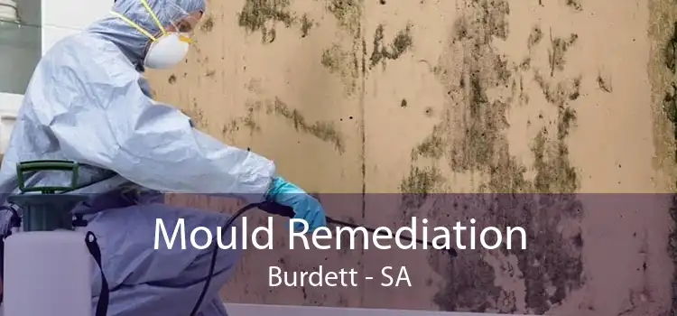 Mould Remediation Burdett - SA
