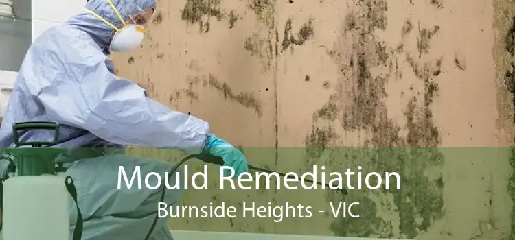 Mould Remediation Burnside Heights - VIC